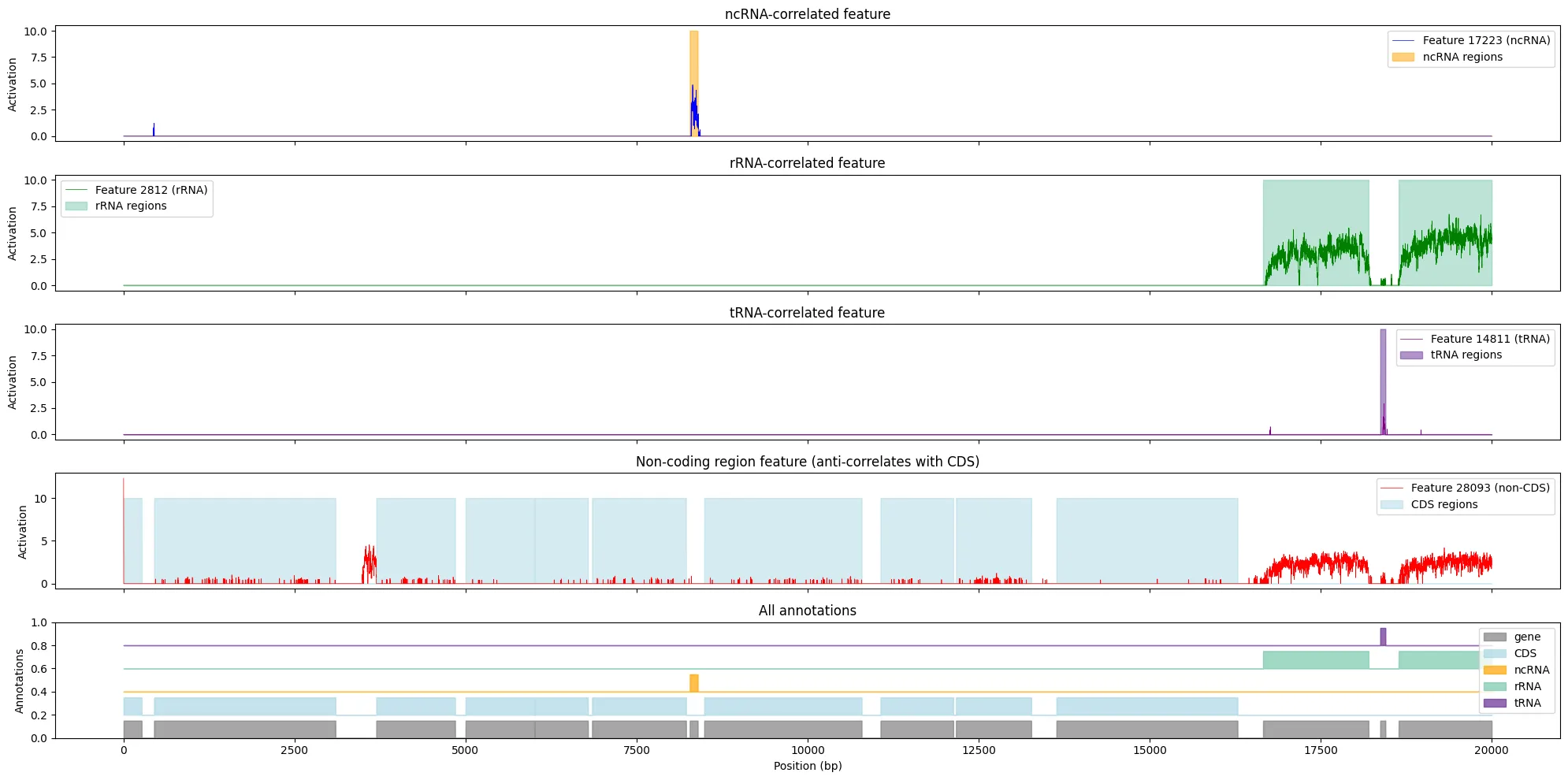 Research agent output showing Feature 2812 firing on rRNA regions